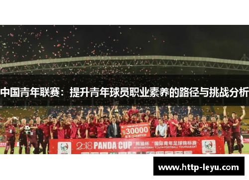 中国青年联赛：提升青年球员职业素养的路径与挑战分析