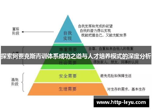 探索阿贾克斯青训体系成功之道与人才培养模式的深度分析