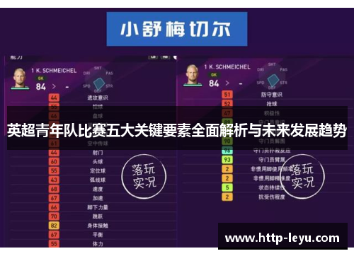 英超青年队比赛五大关键要素全面解析与未来发展趋势