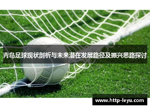 青岛足球现状剖析与未来潜在发展路径及振兴思路探讨